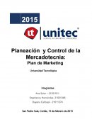 Proyecto Plan de Marketing .