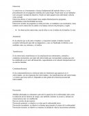 Resumen entrevista y prevencion