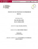 Conceptos de biocombustibles.