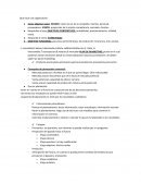 Administracion de ventas. Que hace una organización