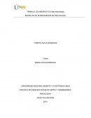 DIAGNOSTICO PSICOSOCIAL (ANEXO 3)