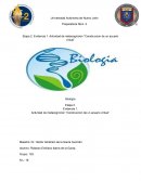 Actividad de metacognicion Construccion de un acuario virtual