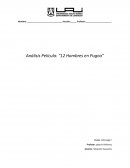 Análisis Película: “12 Hombres en Pugna”