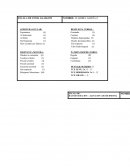 ESCALA DE COMA GLASGOW