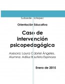 Orientación Educativa Caso de intervención psicopedagógica