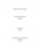 FUNDACION NATURAL PLANET (FNT)