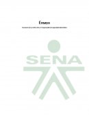 Funciones de un CEO, CIO y el responsable de seguridad informática.