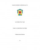 Resumen del libro La Metamorfosis de Frank Kafka