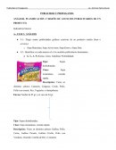 ANÁLISIS, PLANIFICACIÓN Y DISEÑO DE ANUNCIOS PUBLICITARIOS DE UN PRODUCTO