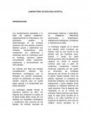 LABORATORIO DE BIOLOGIA VEGETAL