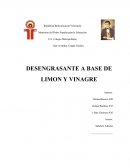 DESENGRASANTE A BASE DE VINAGRE Y LIMON