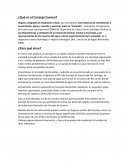 ¿que es el consejo de cuenca?