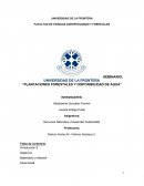 PLANTACIONES FORESTALES Y DISPONIBILIDAD DE AGUA