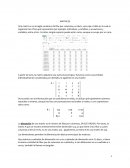 Matrices y sus tipos