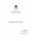 INFORME SOBRE CONTROL INTERNO