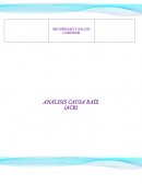 ANÁLISIS CAUSA RAÍZ (ACR)