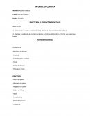 PRACTICA:OXIDACIÓN DE METALES