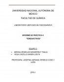 Obtener la Concentración Micelar Crítica (CMC) del tensoactivo problema y comprobarla teóricamente.