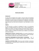 POLITICA DE COSTOS