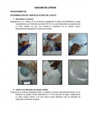 ANÁLISIS DE LÍPIDOS PROCEDIMIENTOS