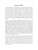 Ensayo de “NINIS”