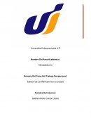 El cigarro. El consumo de tabaco