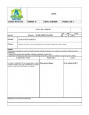 Actas del comité de medio ambiente