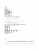 PBI MINERO REDUCCIÓN Y CONTROL DE LOS IMPACTOS AMBIENTALES	27