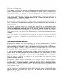 Esfuerzos máximos en vigas