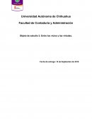 Entre vicios y virtudes