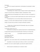 Antropologia momento