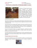 EFECTOS DE LA INDUSTRIA PETROLERA SOBRE EL SUELO