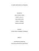 EL CAMPO DICIPLINAR DE LA PEDAGOGIA