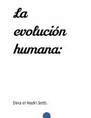 Cuestionario sobre la evolución humana