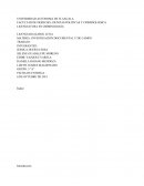Investigación de ca,po