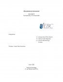 Mercadotecnia Internacional: actividad conociendo a mi consumidor