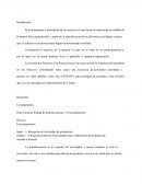 Levantamiento, reconocimiento e identificación de un proceso