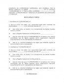 CONTRATO DE COPROPIEDAD EMPRESARIAL QUE CELEBRAN