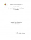 DECISIONES NUEVAS TECNOLOGÍAS (Diseño de Plantas Mineras)