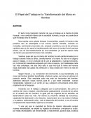 Transformacion del mono en hombre