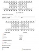 EJEMPLO DE ODONTOGRAMA