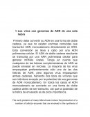 PROPIEDADES DE LOS ACIDOS NUCLEICO