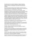 Actividad de aplicacion reseña del video.