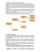 Reproduccion asexual o clonacion en plantas