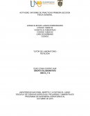 Actividad: Programa de ingenieria agroforestal