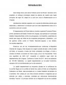 Comprension sobre Kafka, La metamorfosis