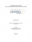 LOS FRACTALES Informe de Investigación, abreviado, para el Curso