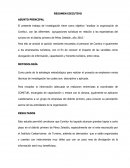 RESUMEN EJECUTIVO TURISMO EN LA ZONA SUR DE COSTA RICA