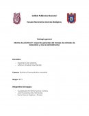 Fisiología general Informe de práctica #1: Aspectos generales del manejo de animales de laboratorio y vías de administración