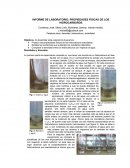 Informe de laboratorio:Propiedades físicas de los hidrocarburos